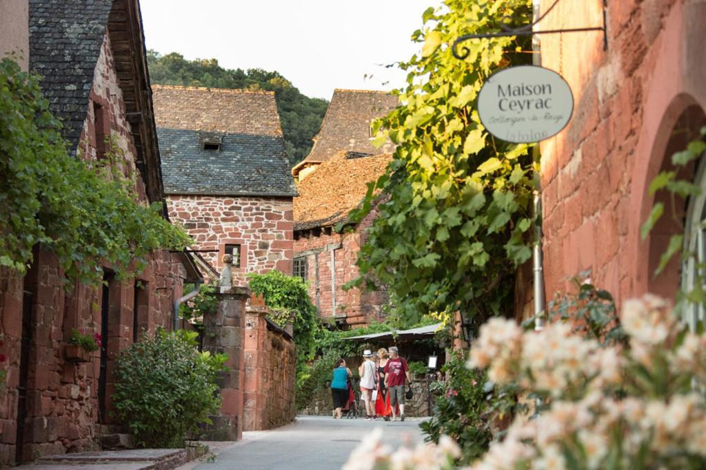 Les Gites Du Gauliat Espartignac Buitenkant foto